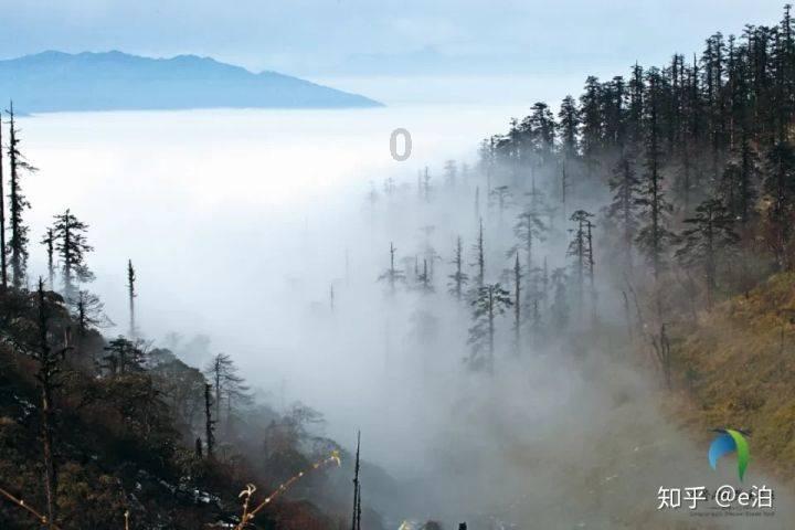 美图秀秀下载2023最新版