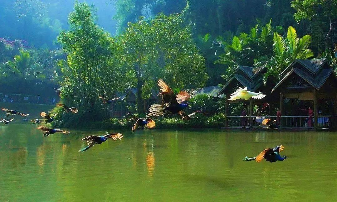 【县区园地】修水县:一份跨越一百多公里的礼物