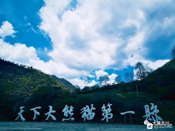 【新春走基层】陇南:蝴蝶兰走“俏”春节市场
