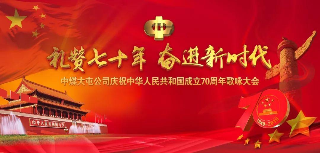 可爱小猫向上跳