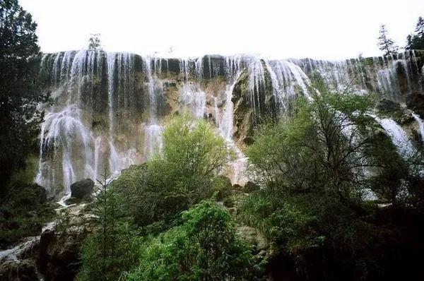“小兔拔拔”水果萝卜